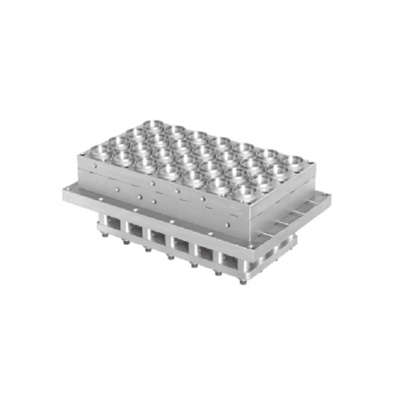 Cangkir/pelat plastik termoforming/wadah/kotak/tutup cetakan