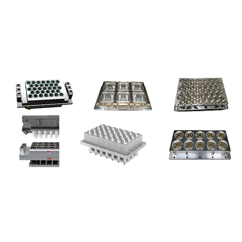 Cangkir/pelat plastik termoforming/wadah/kotak/tutup cetakan